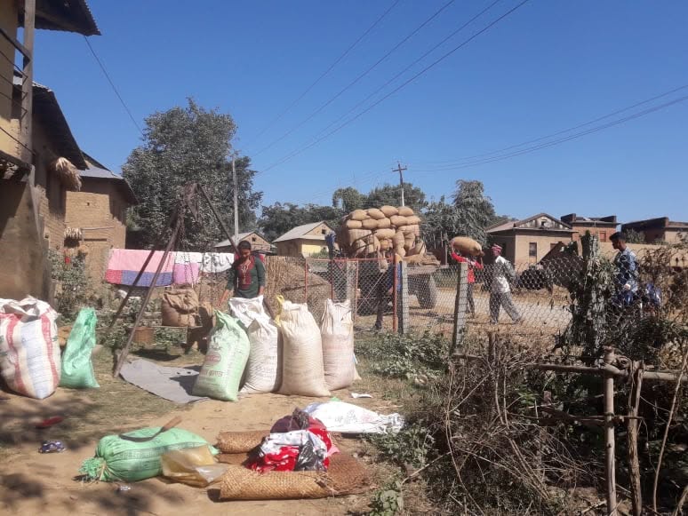 Harvest sacks gathered near a field