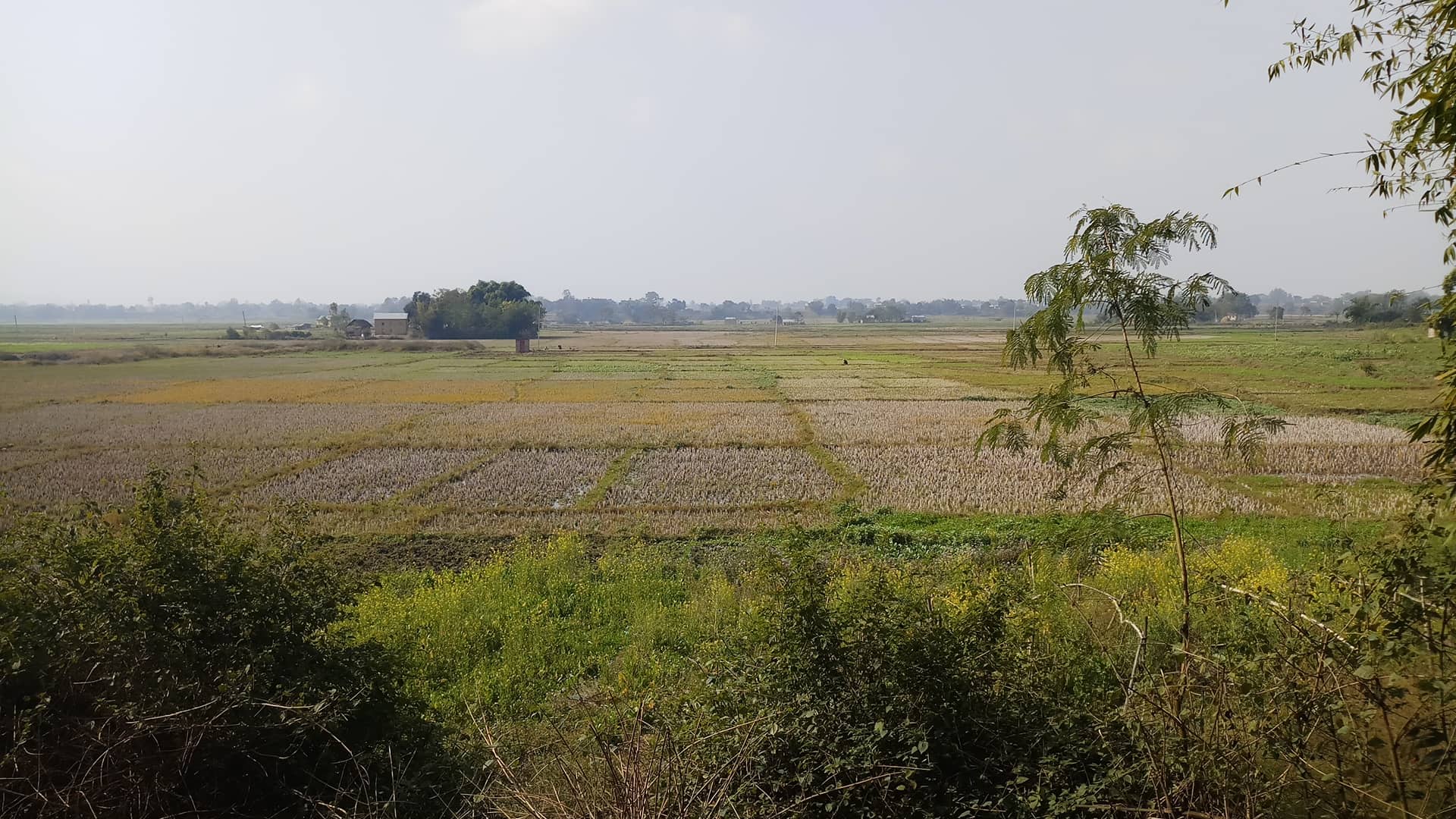 Wide agricultural fields near Malawar